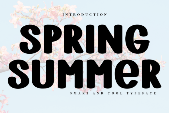 Capturing the Cheer: How Spring Summer Typeface Enhances Your Holiday Designs